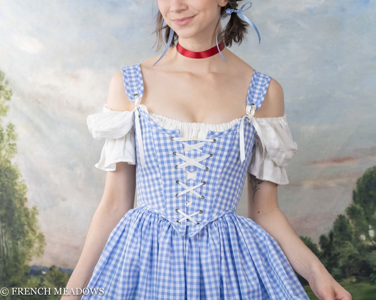 Blue and white 2024 gingham dress dorothy